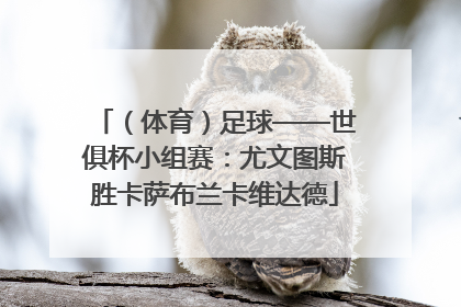 （体育）足球——世俱杯小组赛：尤文图斯胜卡萨布兰卡维达德