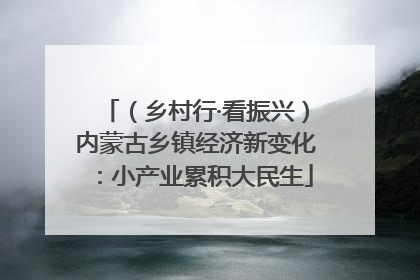 （乡村行·看振兴）内蒙古乡镇经济新变化：小产业累积大民生