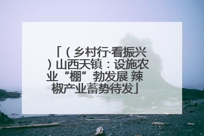 （乡村行·看振兴）山西天镇：设施农业“棚”勃发展 辣椒产业蓄势待发