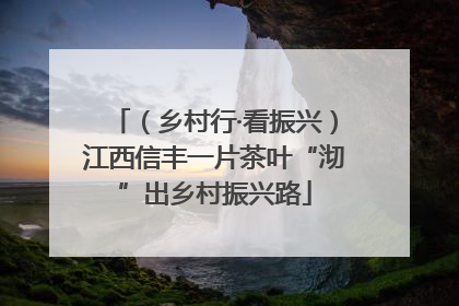 （乡村行·看振兴）江西信丰一片茶叶“沏”出乡村振兴路