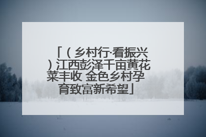 （乡村行·看振兴）江西彭泽千亩黄花菜丰收 金色乡村孕育致富新希望