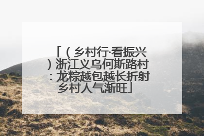 （乡村行·看振兴）浙江义乌何斯路村：龙粽越包越长折射乡村人气渐旺