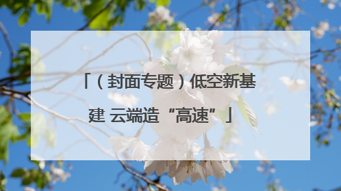 （封面专题）低空新基建 云端造“高速”