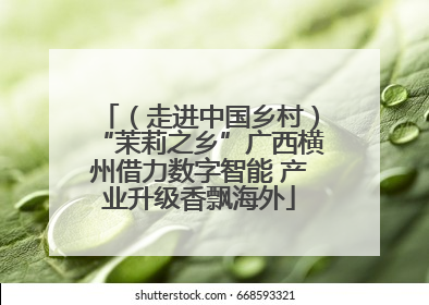 （走进中国乡村）“茉莉之乡”广西横州借力数字智能 产业升级香飘海外