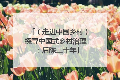 （走进中国乡村）探寻中国式乡村治理：后陈二十年