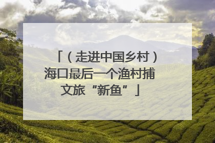 （走进中国乡村）海口最后一个渔村捕文旅“新鱼”
