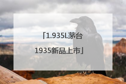 1.935L茅台1935新品上市