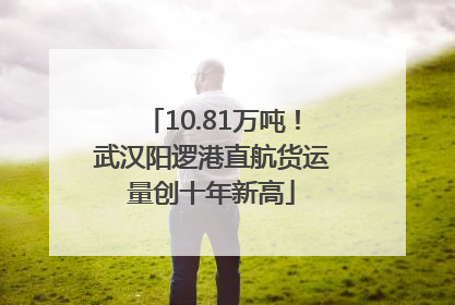 10.81万吨！武汉阳逻港直航货运量创十年新高