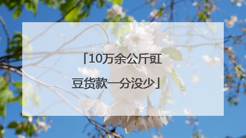 10万余公斤豇豆货款一分没少