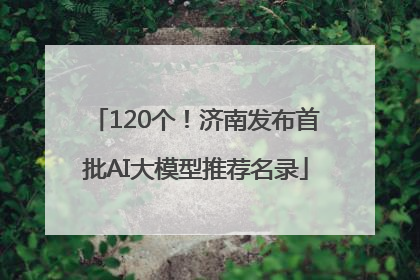 120个！济南发布首批AI大模型推荐名录