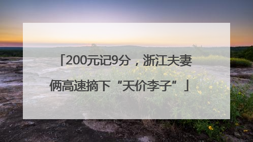 200元记9分，浙江夫妻俩高速摘下“天价李子”