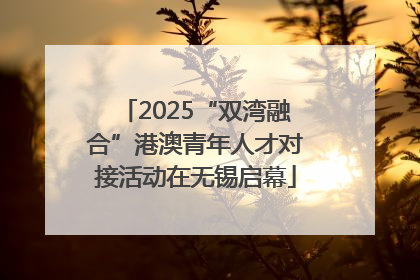 2025“双湾融合”港澳青年人才对接活动在无锡启幕