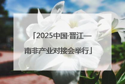2025中国·晋江—南非产业对接会举行