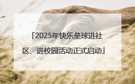 2025年快乐垒球进社区、进校园活动正式启动