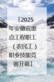 2025年安徽省重点工程职工（农民工）职业技能竞赛开幕