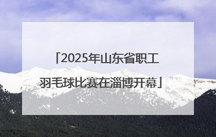 2025年山东省职工羽毛球比赛在淄博开幕