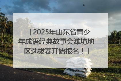 2025年山东省青少年成语经典故事会潍坊地区选拔赛开始报名！