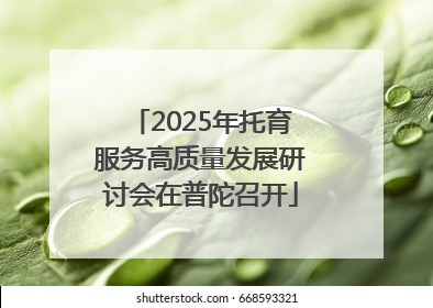 2025年托育服务高质量发展研讨会在普陀召开