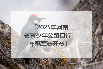 2025年河南省青少年公路自行车冠军赛开赛