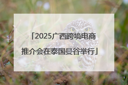 2025广西跨境电商推介会在泰国曼谷举行
