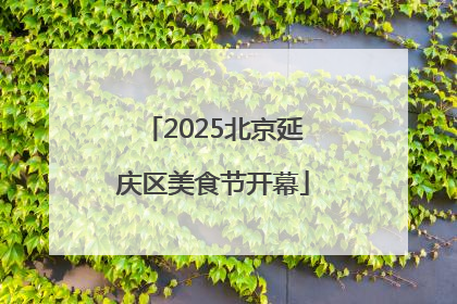 2025北京延庆区美食节开幕