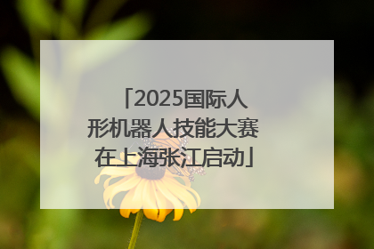 2025国际人形机器人技能大赛在上海张江启动