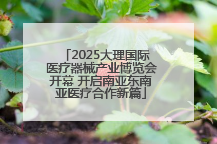 2025大理国际医疗器械产业博览会开幕 开启南亚东南亚医疗合作新篇