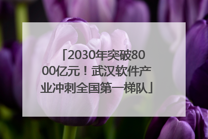 2030年突破8000亿元！武汉软件产业冲刺全国第一梯队