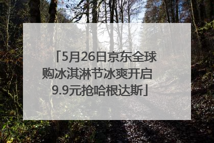 5月26日京东全球购冰淇淋节冰爽开启 9.9元抢哈根达斯