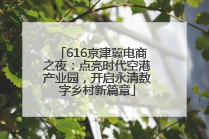 616京津冀电商之夜：点亮时代空港产业园，开启永清数字乡村新篇章