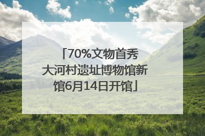 70%文物首秀 大河村遗址博物馆新馆6月14日开馆