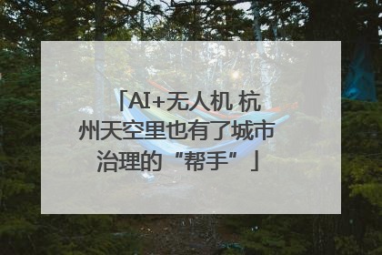 AI+无人机 杭州天空里也有了城市治理的“帮手”