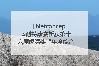 Netconcepts耐特康赛斩获第十六届虎啸奖“年度综合服务商”大奖