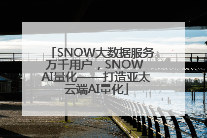 SNOW大数据服务万千用户，SNOW AI量化——打造亚太云端AI量化