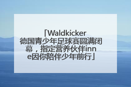 Waldkicker德国青少年足球赛圆满闭幕，指定营养伙伴inne因你陪伴少年前行